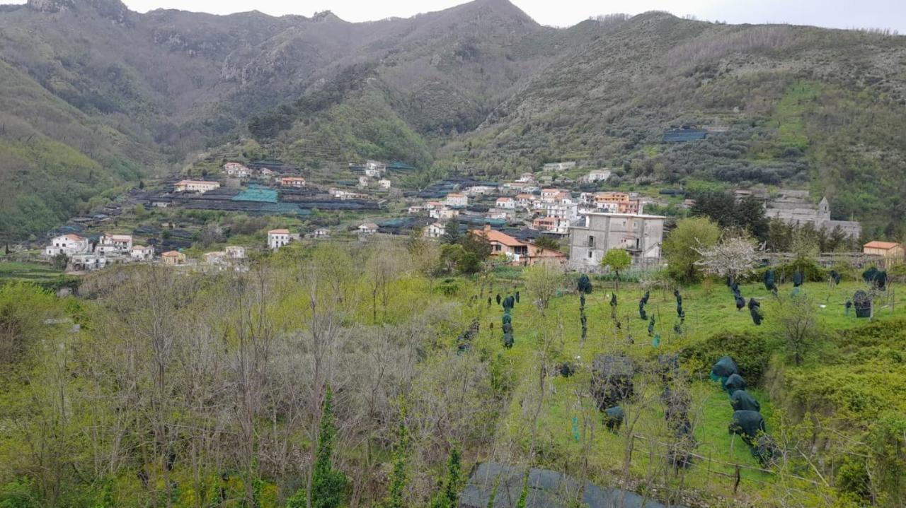 Hotel Affittacamere Novella Tramonti Dış mekan fotoğraf