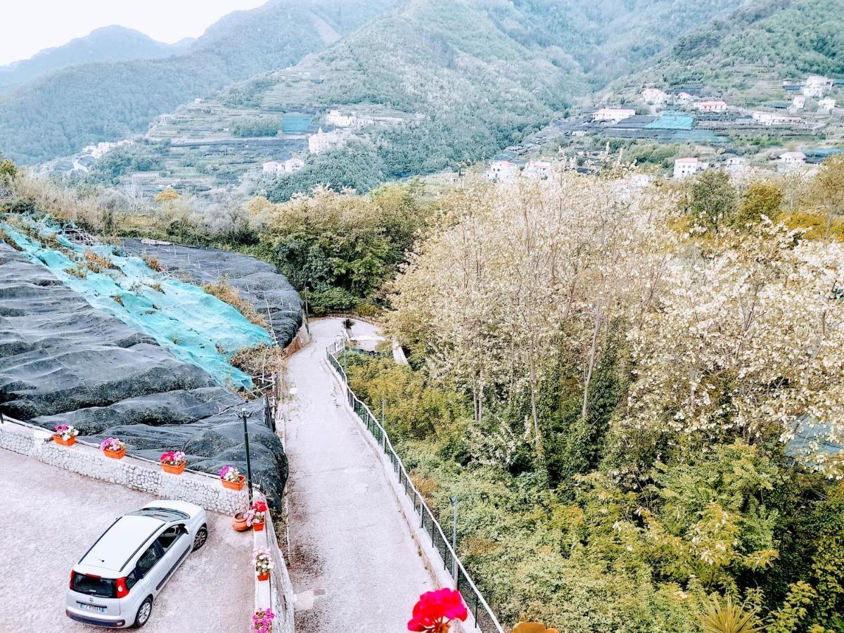 Hotel Affittacamere Novella Tramonti Dış mekan fotoğraf